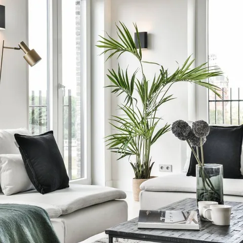 A coffee table does more than hold your mugs—it anchors your living space. ☕