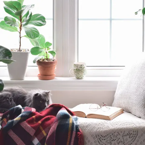 A cozy reading nook or meditation corner can make a big impact on your well-being. 🧘‍♀️
