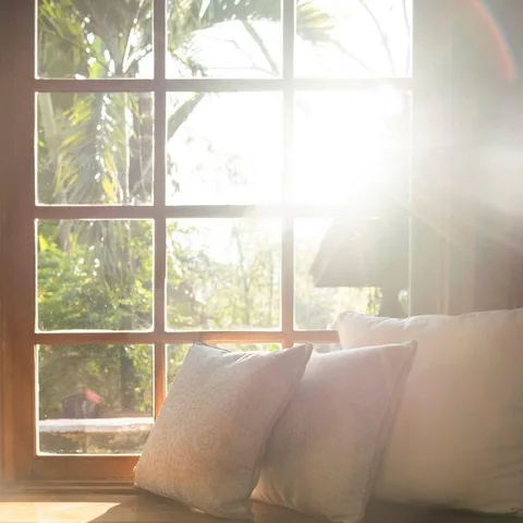 Sunlight = mood booster, but it can fade furniture fast. ☀️