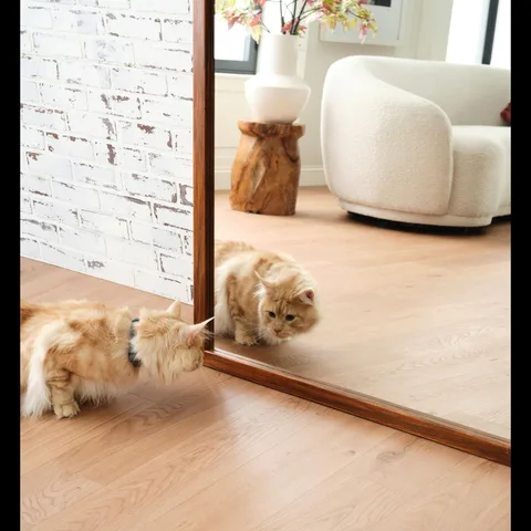 Reflect your style with Nurture! 🪞 This beautiful hard surface floor creates a clean, serene backdrop perfect for every charming moment (and even curious cats!). 😻