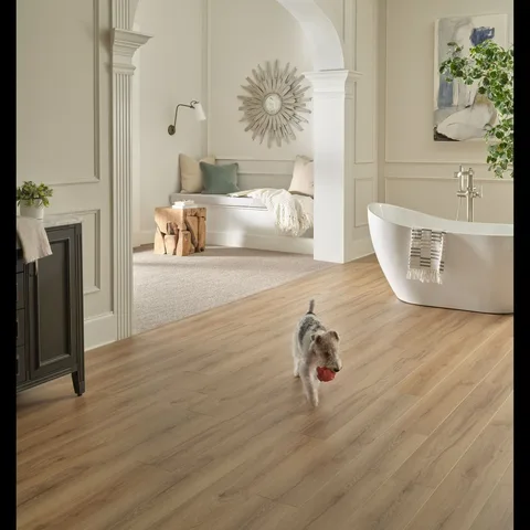 New Standard Plus brings a sleek, clean look to your space, offering durable beauty that's perfect for both pampered pups and sophisticated style. 🐾✨