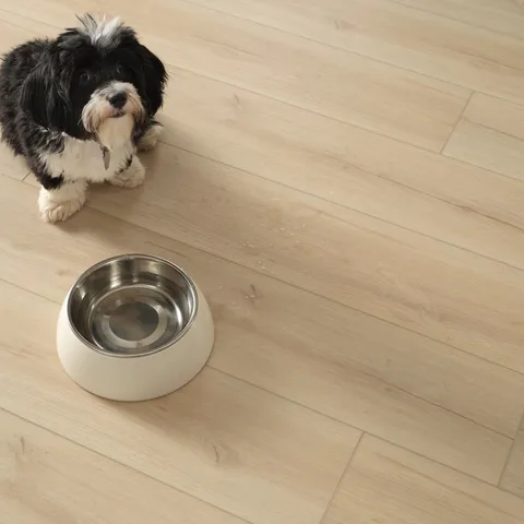 Life's simpler with New Standard Plus! 🐾 This durable hard surface floor handles all the splashes and spills, giving you a fresh, clean look that stands up to furry friends and dai