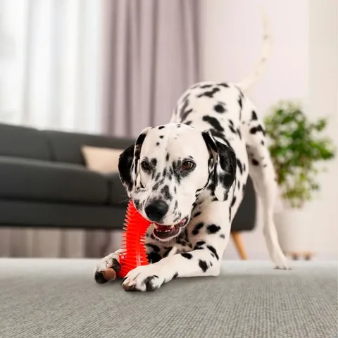 Every pet deserves a comfortable home, and every owner deserves beautiful, resilient flooring!