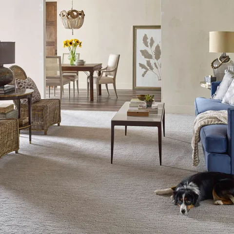 Get ready for endless snuggles! 🐾 Plush Redwood carpet creates the ultimate cozy retreat, perfect for happy pups (and people!) to relax. ✨
