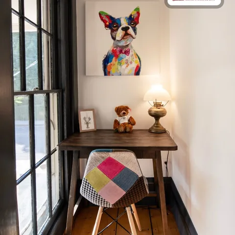 Small space? Make it the most intentional square footage in the house. 🐾✨