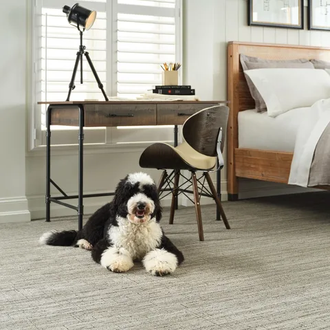 Lineage creates a quiet and inviting foundation, perfect for focused work — and keeping your furry assistant happy. 🏡✨🐾